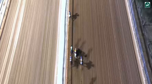 8BqAVaJ03l ab1QV.jpg