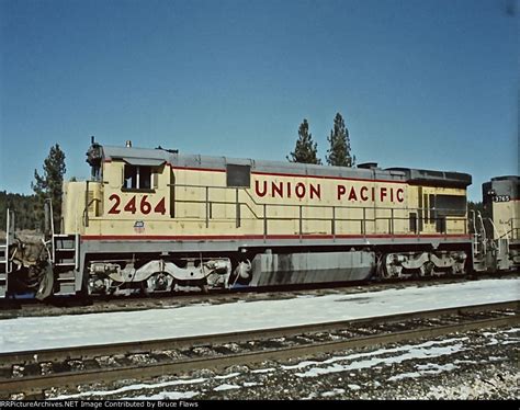 OIP 3680286593.jpg