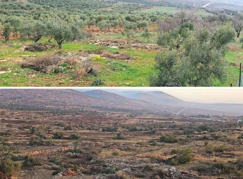 سهل المغير يقع في الشمال الشرقي من رام الله بعد أن تم تجريفه وتدميره على يد جيش الاحتلال....