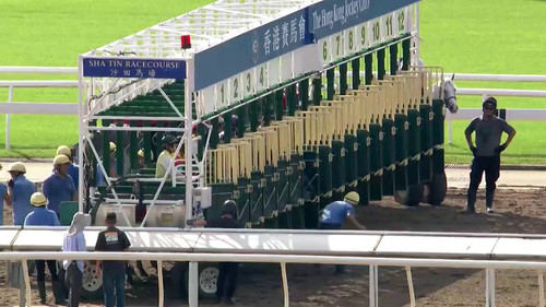 cowqH1dgJGxA JcU.jpg