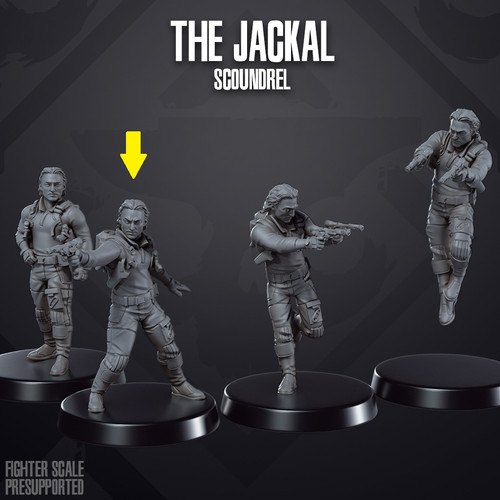 THE JACKAL.jpg