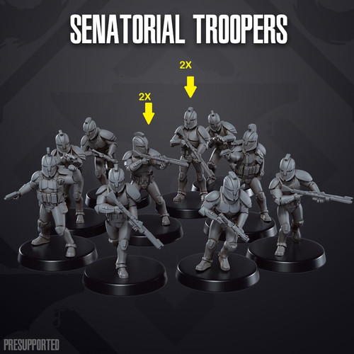 UNION SENATE TROOPERS.jpg