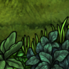 green front thumb.png