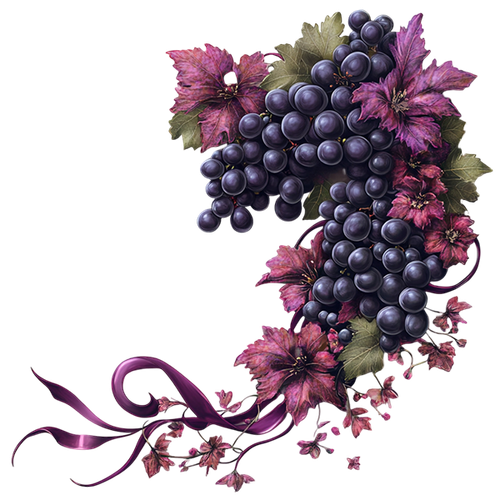 MSD BORDEAUXVISIONS ELEM32.png