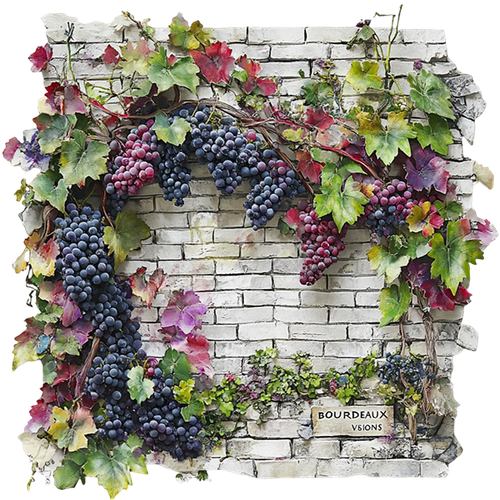 MSD BORDEAUXVISIONS ELEM42.png