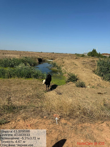 photo 32 2025 08 23 16 44 48.jpg