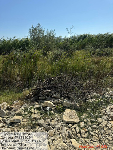 photo 35 2025 08 23 16 44 48.jpg