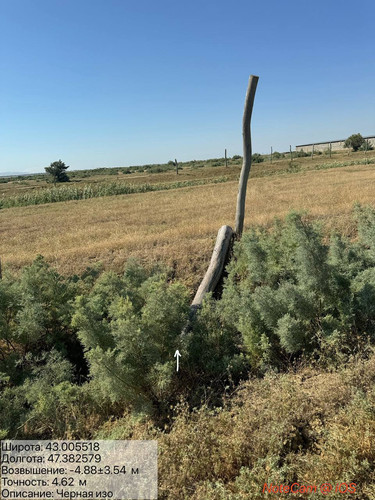 photo 33 2025 08 23 16 44 48.jpg