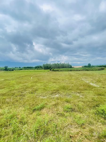 537699114 788140067310794 1458291301395433333 n.jpg