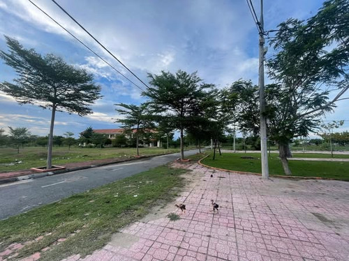 537218331 4307190566171560 7522480707890778859 n.jpg