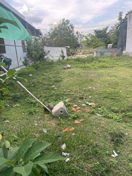 537026230 4307190369504913 7337739577554516029 n.jpg