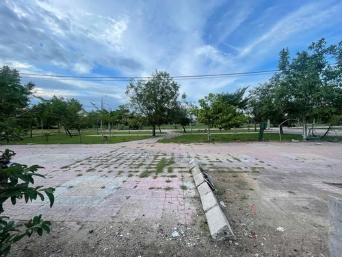 537512448 4307190442838239 3154550509615744520 n.jpg