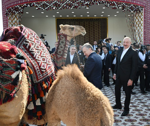 lR7usFMRrBturxRWlXB8NP7jRt8DNRJUEFH2eDQmG5R8xZM9FUK6JMj1VZSHJpDuNvd9SfCekd Wcz 3MUjVBvW83CpFqGsmFxUH.jpg