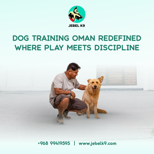 Dog Training Oman Redefined – Where Play Meets Discipline.jpg