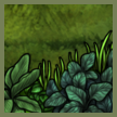green front thumbn.png