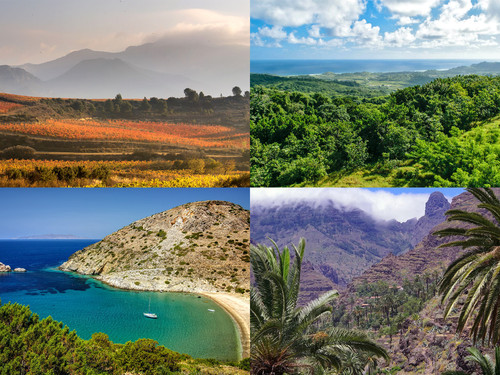 ' Glorified is  The All-Mighty Creator '.jpg