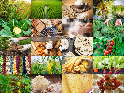 ' Glorified is Allaah , i . e God ., The All Mighty Creator '.jpg