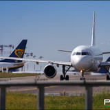 IMG 1792psc
