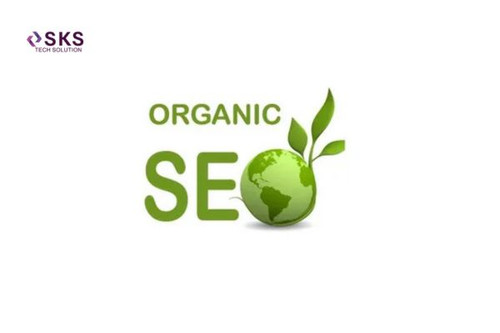 Trusted Delaware SEO Company for Business Growth Online.jpg