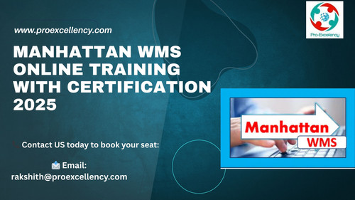 Beginner to Expert: Manhattan WMS Online Training with Certification 2025 Explained.jpg