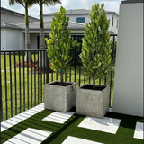 Landscape Design Wellington.png