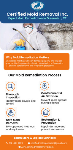 Expert Mold Remediation in Greenwich CT for Healthy Homes and Businesses.jpg
