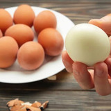 protein2565