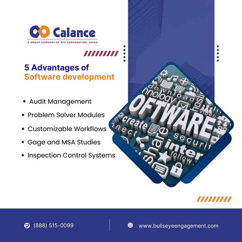 5 Advantages of Software development.jpg