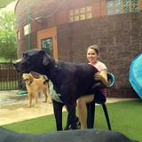 d3bd8cf43763fa89be1c94eb72a582c5