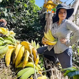 f7ed9086be436d62fc79ddf4495eb782