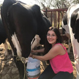 fa852512796d50d660292fa12cba5033