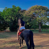 f960256a1261058b81986d296087bbe6