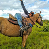 3fc0ee74727c2e97b7a73e76568ec7f5