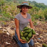 4eca4010e98a420d40b7f0110e2499d1