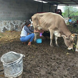 08f5bcdecf9e43cecb3efbef3b8357f8