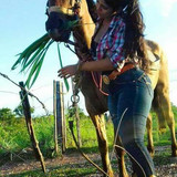 54a78b84db82fe402b1948f1ea65d123