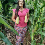 0933a0e295187a0a62b5d12ae2f198bf