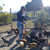 75509ee76c22151573dbc13493a58993