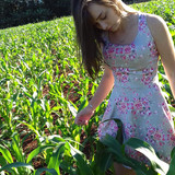 81305a0fd33f4fb5940490c6f9bbb876