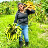 ba936c1a0d9264d7f5b7871011e7f94b