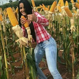 b5deffb79462dec1d750c29d7cccb8df