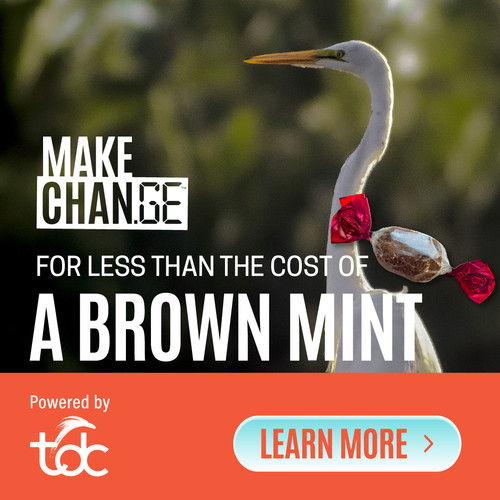 TDC CamPaign DigitalAds3 Resizes 250723 1080x1080.jpg