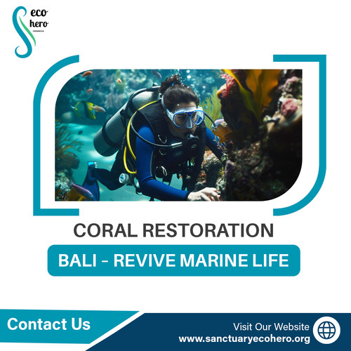 Coral Restoration Bali – Revive Marine Life.jpg