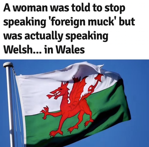 Screenshot 2025 09 11 at 11.01.28 AM.png