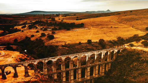 New Project (79).png