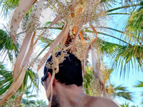 IMG 20250727 171703 HDR~2.jpg