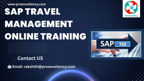 Why Choose SAP TM Online Training for Career Growth?.jpg
