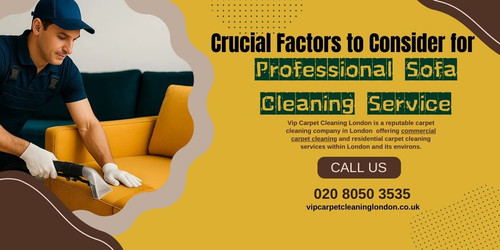 What Are The Crucial Factors to Consider for Professional Sofa Cleaning Service.jpg