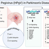 parkinson2527