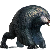 urso coruja